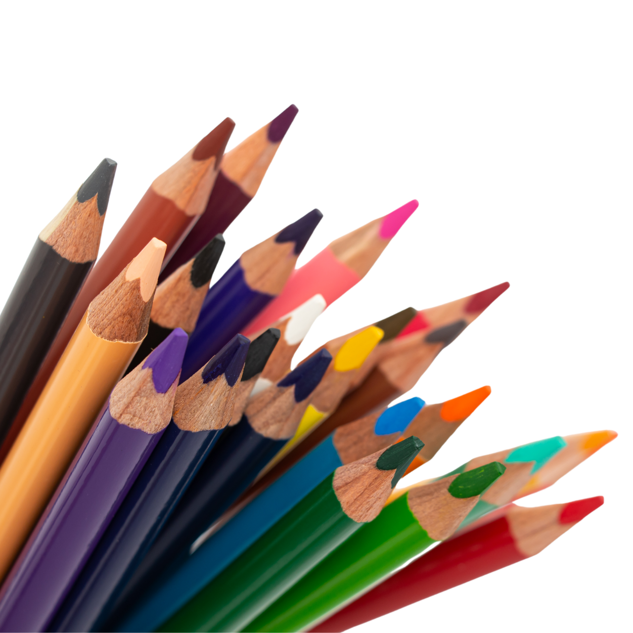 LÁPICES DE COLORES STABILO "TRIO" EXTRA GRUESOS X 24 UND.