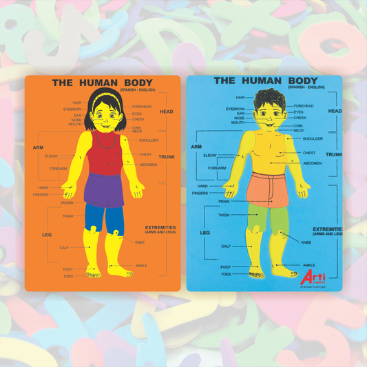 JUEGO DE ENCAJE EN GOMA EVA "EL CUERPO HUMANO" ARTI CREATIVO